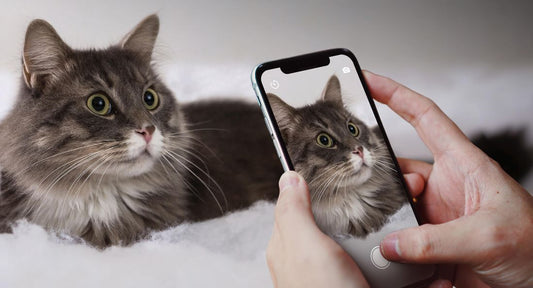 6 Things To Look Out For In A Smartphone